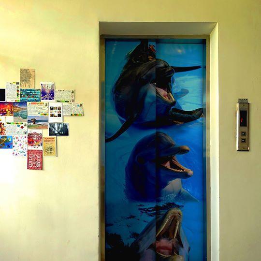 Dolphin Castle Bed and Breakfast Donggang Buitenkant foto