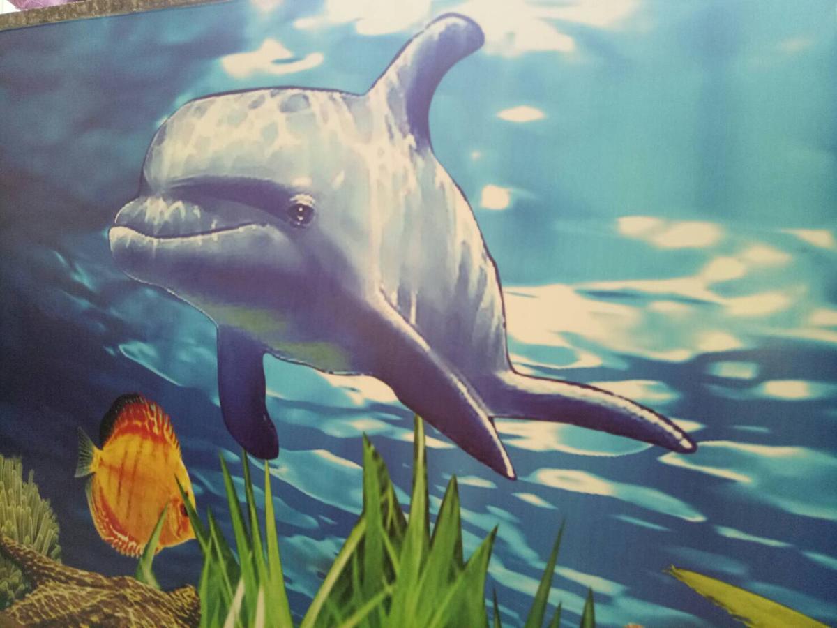 Dolphin Castle Bed and Breakfast Donggang Buitenkant foto
